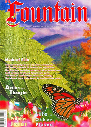 Issue 13 (January - March 1996)