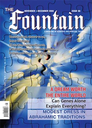 Issue 66 (November - December 2008)
