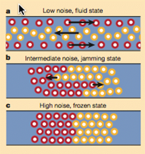 bottlenext entropy water cooled