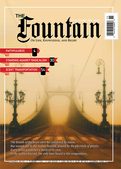 Issue 104 (March - April 2015)