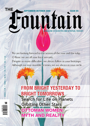 Issue 65 (September - October 2008)