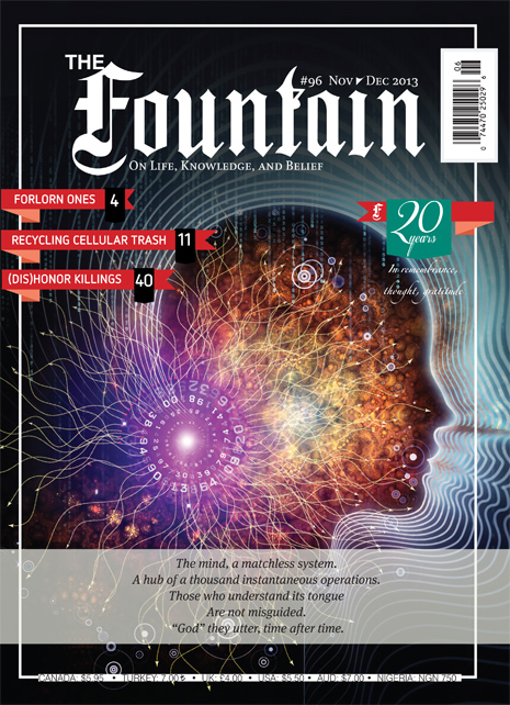 Issue 96 (November - December 2013)