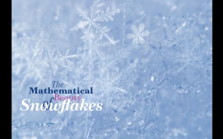 The Mathematical Beauty of Snowflakes