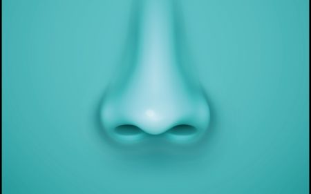 The Nose and the Miraculous Ability to Smell