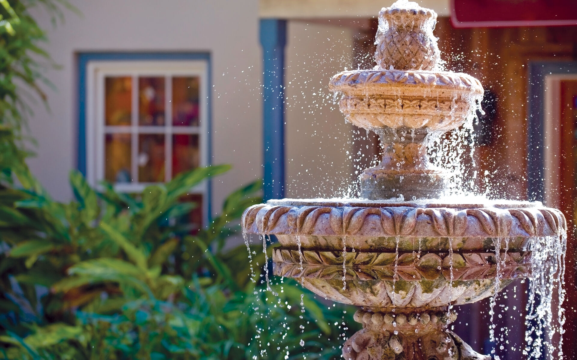 The Fountain