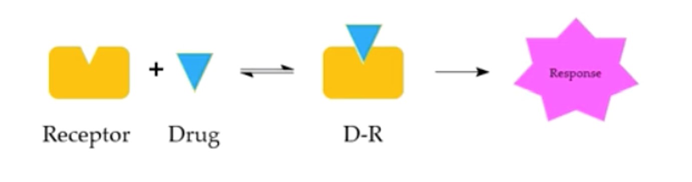 The receptor theory.jpg The receptor theory