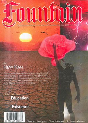 Issue 11 cover