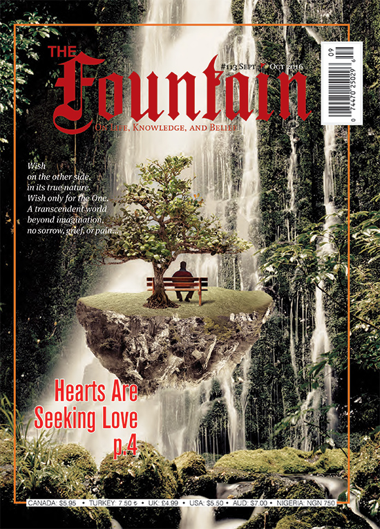 Issue 113 cover