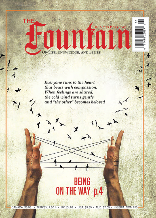 Issue 116 cover