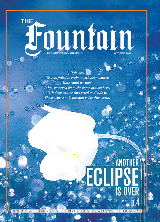 Issue 117 cover