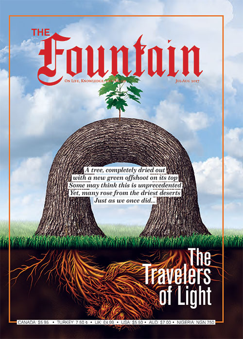 Issue 118 cover