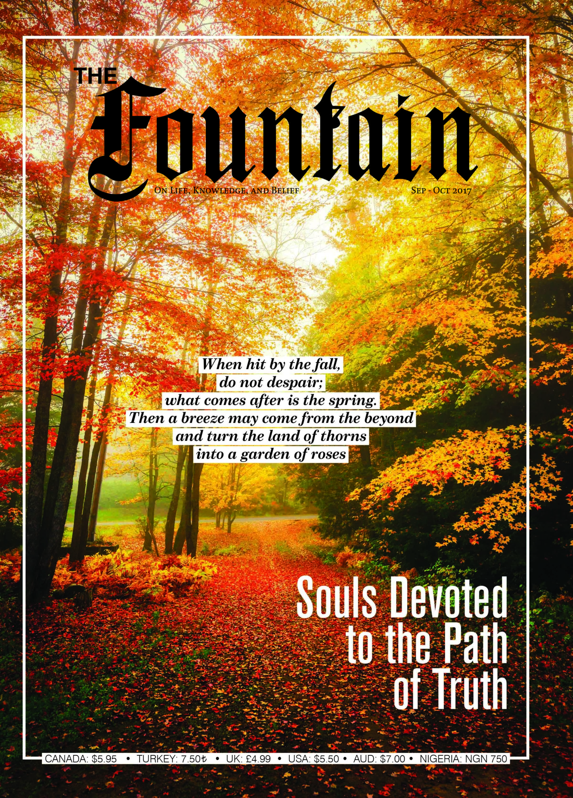 Issue 119 cover