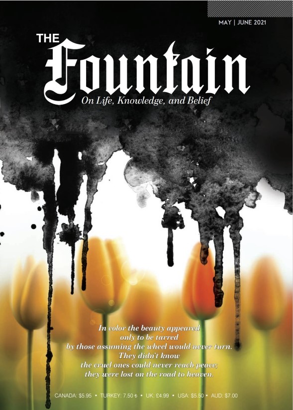 Issue 141 cover