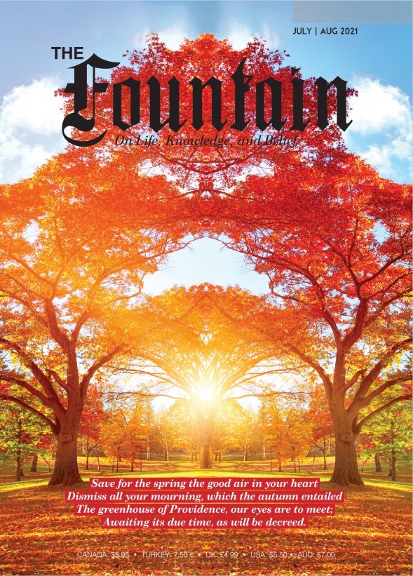 Issue 142 cover
