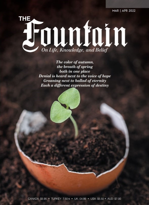 Issue 146 cover