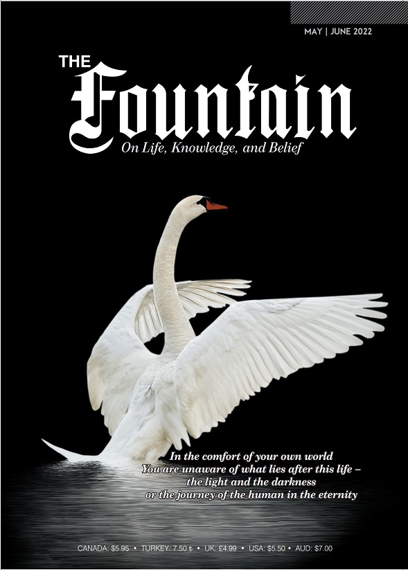 Issue 147 cover
