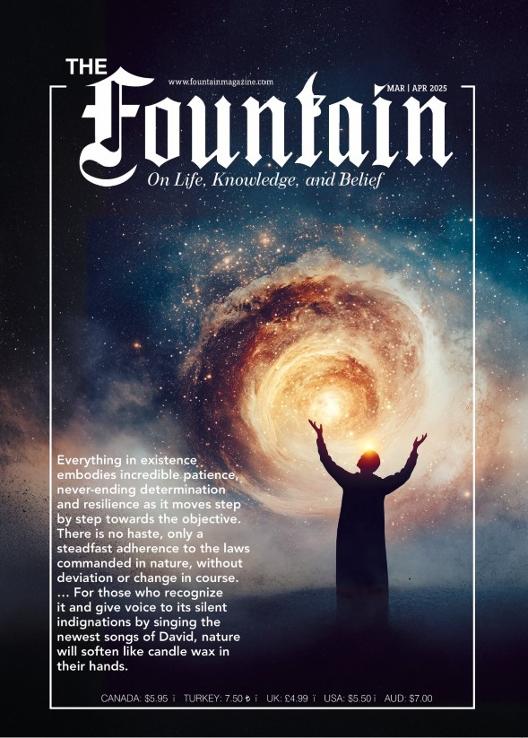 Issue 164 cover