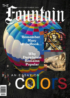 Issue 35 cover