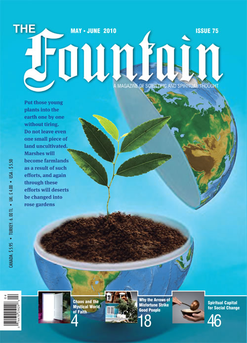 Issue 75 cover