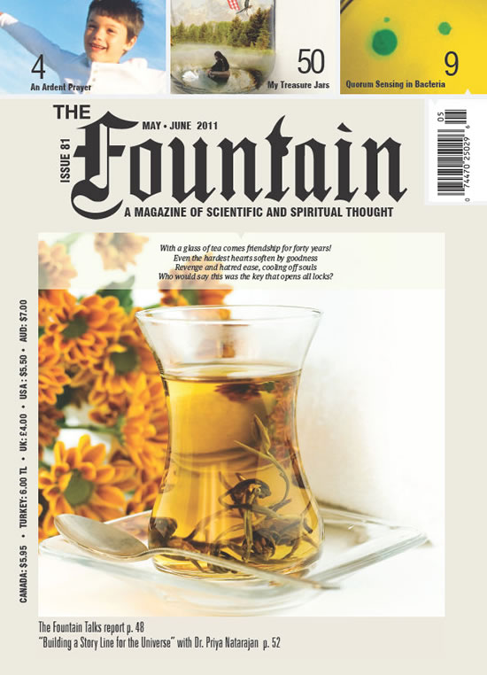 Issue 81 cover
